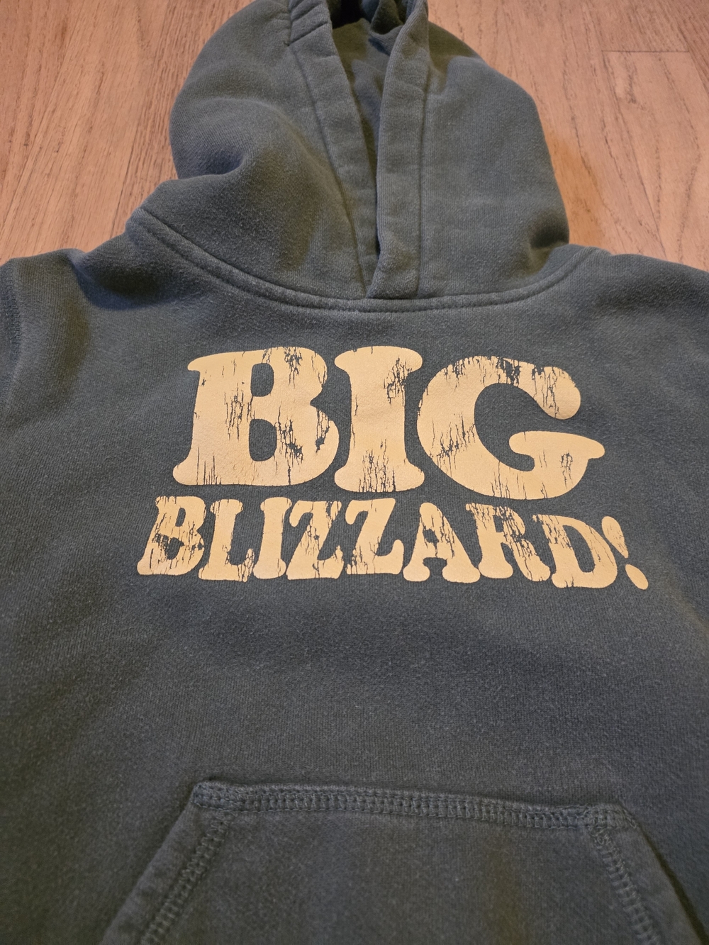 Baby GAP Kids Hooded Pullover Sweatshirt - Dark Green